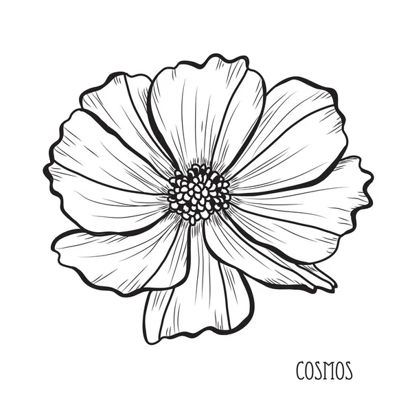 装饰宇宙花卉 设计元素 可用于贺卡 平面设计 线条艺术风格的花卉背景 — 图库矢量图片