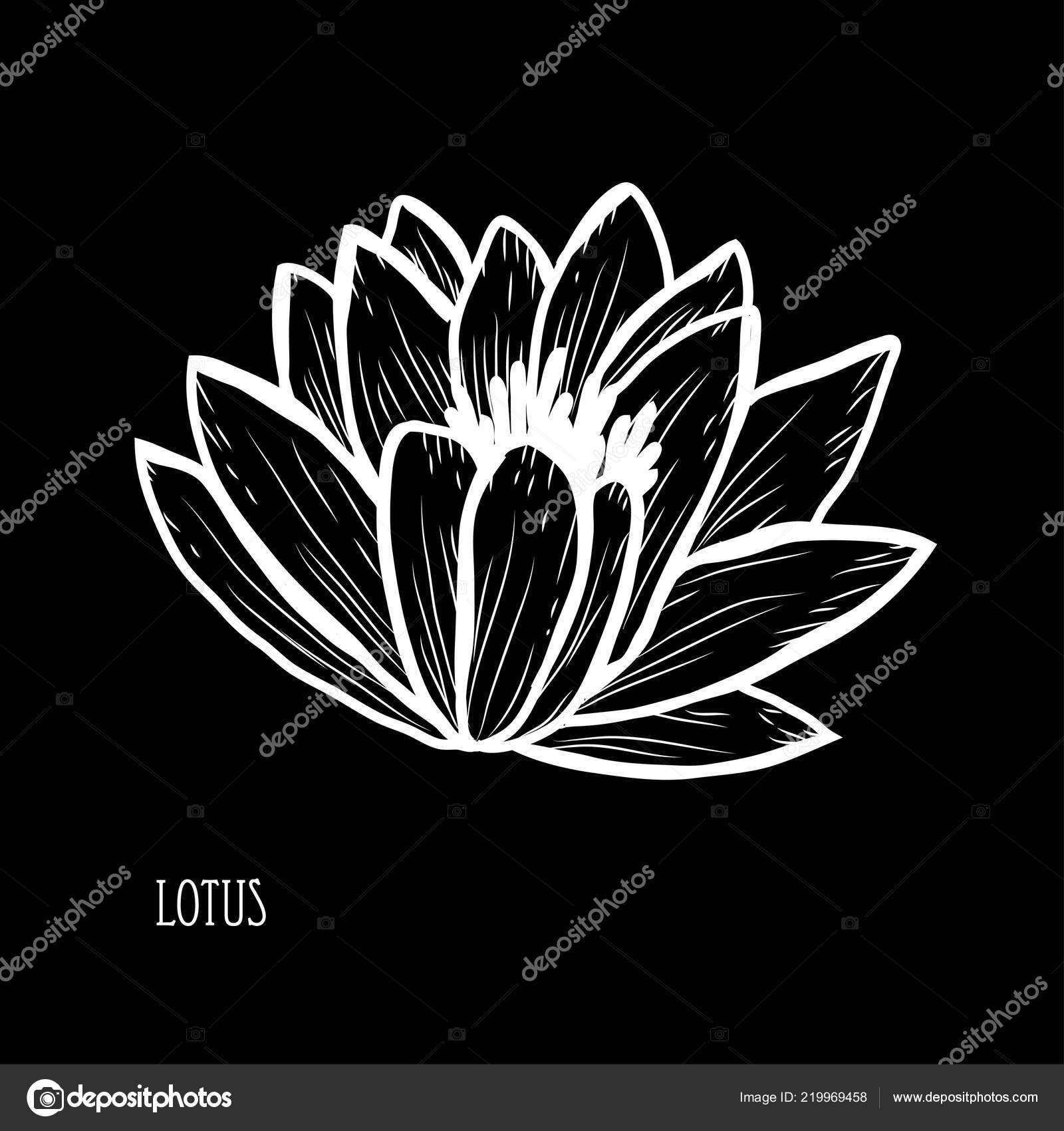 装飾的な蓮の花のデザイン要素 カード 招待状 バナー ポスターに使用することができます デザインを印刷します ライン アート スタイルで花の背景 ストックベクター C Chantall 装飾的な蓮の花のデザイン要素 カード 招待状 バナー ポスターに使用することができます デザインを印刷します ライン アート スタイルで花の背景 ストックベクター C Chantall