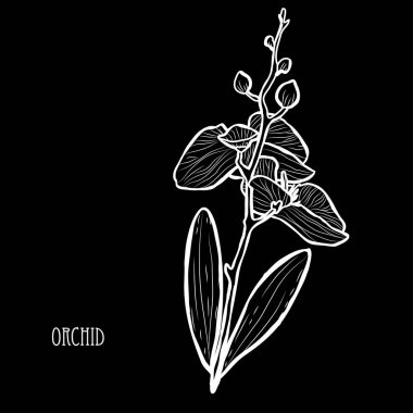 Dekoratif çiçek tasarım öğeleri. Tasarımını yazdırma, kartları, davetiyeleri, afişler, posterler için kullanılabilir. Çiçek arka planda satır sanat tarzı