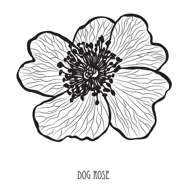 Cão Decorativo Rosa Flor Elemento Design Pode Ser Usado Para — Vetor de Stock