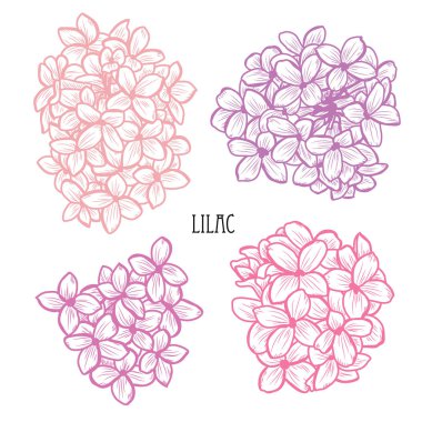 Dekoratif eflatun çiçekler ayarla, tasarım öğeleri. Tasarımını yazdırma, kartları, davetiyeleri, afişler, posterler için kullanılabilir. Çiçek arka planda satır sanat tarzı