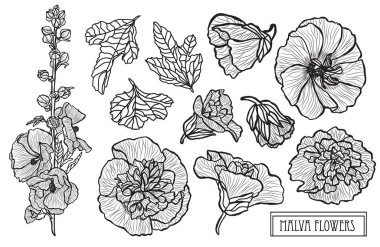 Dekoratif malva çiçekler ayarla, tasarım öğeleri. Tasarımını yazdırma, kartları, davetiyeleri, afişler, posterler için kullanılabilir. Çiçek arka planda satır sanat tarzı