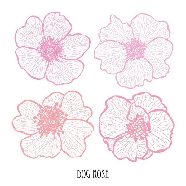 Perro Decorativo Rosa Flores Elementos Diseño Puede Utilizar Para Tarjetas — Vector de stock