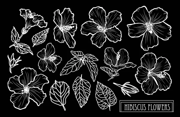 装饰芙蓉花集 设计元素 可用于卡片 打印设计 花卉背景的线条艺术风格 — 图库矢量图片