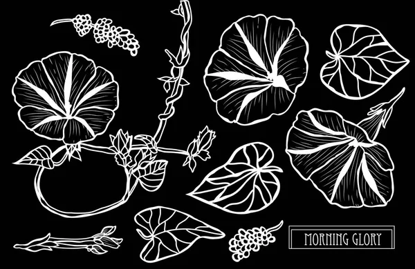 装饰晨荣花 设计元素 可用于卡片 打印设计 花卉背景的线条艺术风格 — 图库矢量图片
