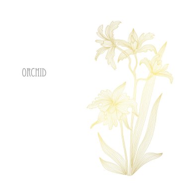 Dekoratif orkide çiçekleri, tasarım öğeleri. Tasarımını yazdırma, kartları, davetiyeleri, afişler, posterler için kullanılabilir. Altın çiçek