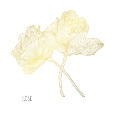 Dekoratif gül çiçek, tasarım öğeleri. Tasarımını yazdırma, kartları, davetiyeleri, afişler, posterler için kullanılabilir. Altın çiçek