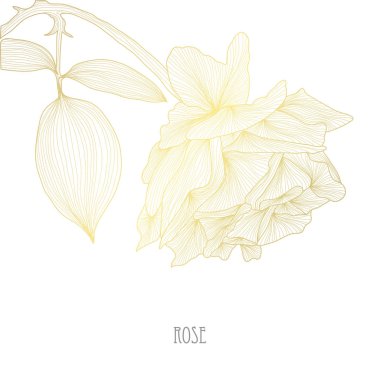 Dekoratif gül çiçek, tasarım öğesi. Tasarımını yazdırma, kartları, davetiyeleri, afişler, posterler için kullanılabilir. Altın çiçek