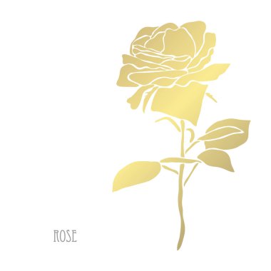 Dekoratif gül çiçek, tasarım öğesi. Tasarımını yazdırma, kartları, davetiyeleri, afişler, posterler için kullanılabilir. Altın çiçek