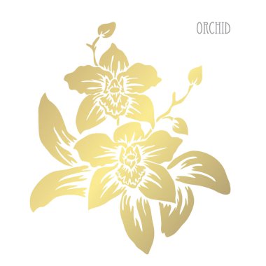 Dekoratif orkide çiçekleri, tasarım öğeleri. Tasarımını yazdırma, kartları, davetiyeleri, afişler, posterler için kullanılabilir. Altın çiçek