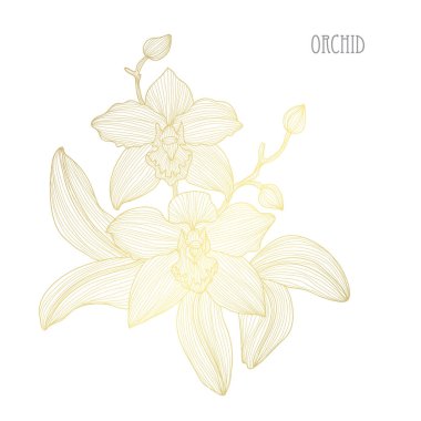 Dekoratif orkide çiçekleri, tasarım öğeleri. Tasarımını yazdırma, kartları, davetiyeleri, afişler, posterler için kullanılabilir. Altın çiçek