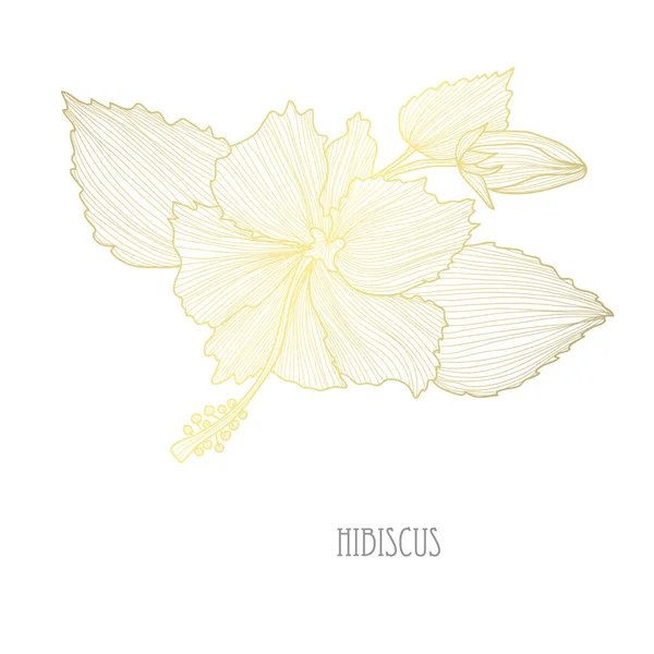 Fleurs Hibiscus Décoratives Éléments Design Peut Être Utilisé Pour Les — Image vectorielle