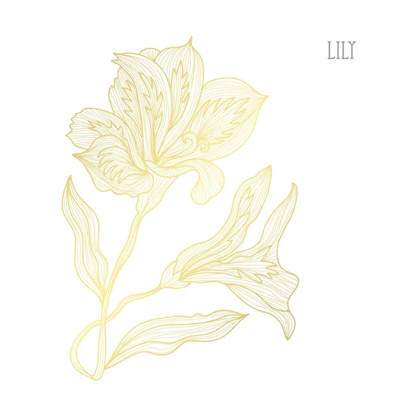 Dekoratif Lily Çiçekler Tasarım Öğeleri Tasarımını Yazdırma Kartları Davetiyeleri Afişler — Stok Vektör