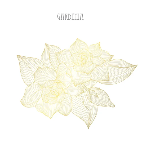 Decorative gardenia flowers, design elements. Can be used for cards, invitations, banners, posters, print design. Golden flowers