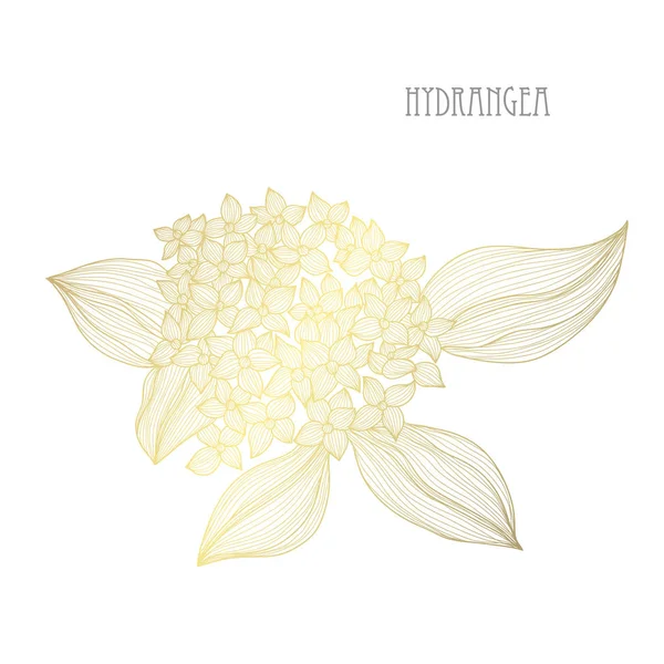 Decorative  hydrangea flowers, design elements. Can be used for cards, invitations, banners, posters, print design. Golden flowers