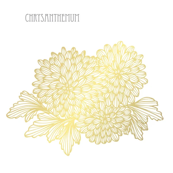 Decoratieve Chrysant Bloemen Designelementen Kan Worden Gebruikt Voor Kaarten Uitnodigingen — Stockvector