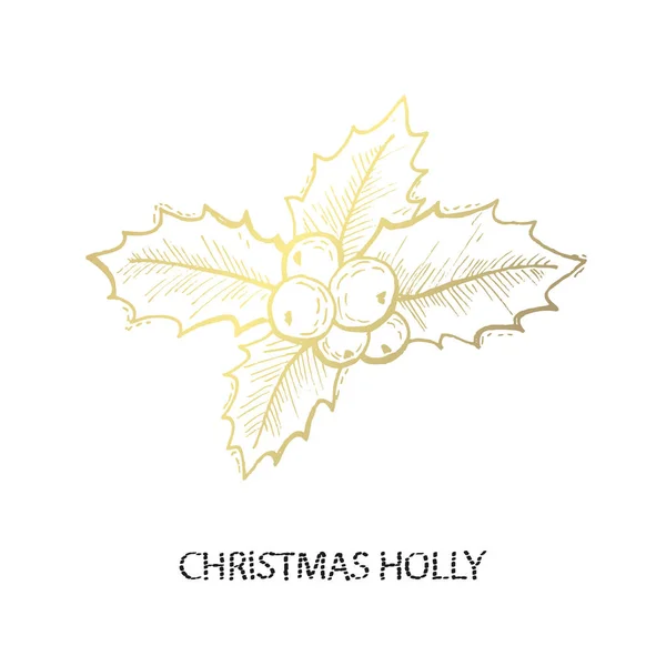 手绘金色圣诞冬青 设计元素 可用于卡片 礼品包装 圣诞节和新年背景 — 图库矢量图片
