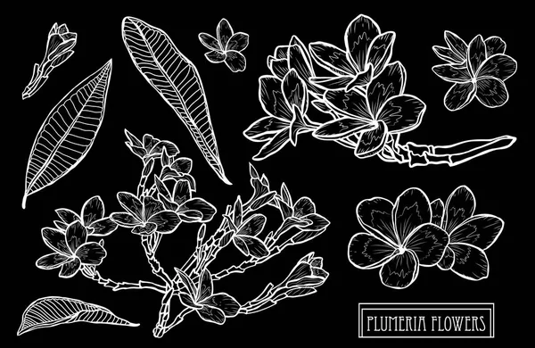 Conjunto Flores Decorativas Plomería Elementos Diseño Puede Utilizar Para Tarjetas — Vector de stock