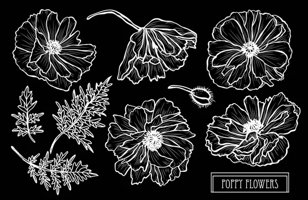 Conjunto Decorativo Flores Amapola Elementos Diseño Puede Utilizar Para Tarjetas — Vector de stock