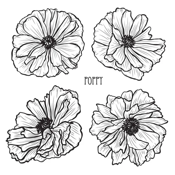 Decoratieve Poppy Bloemen Instellen Ontwerpelementen Kan Worden Gebruikt Voor Kaarten — Stockvector