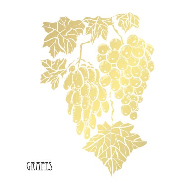 Dekoratif üzüm, tasarım öğeleri. Tasarımını yazdırma, kartları, davetiyeleri, afişler, posterler için kullanılabilir. Altın çiçek