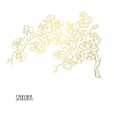 Dekoratif sakura çiçekler, tasarım öğeleri. Tasarımını yazdırma, kartları, davetiyeleri, afişler, posterler için kullanılabilir. Altın çiçek