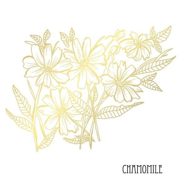 装饰洋甘菊花卉 设计元素 可用于卡片 打印设计 金色花朵 — 图库矢量图片