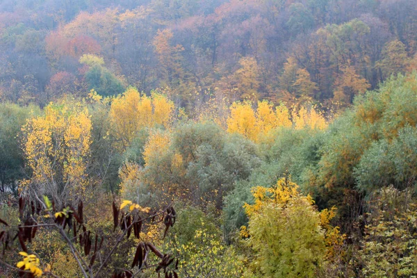 Όμορφο Φθινοπωρινό Τοπίο Πολύχρωμα Δέντρα Φύση Φόντο Φθινόπωρο Σεζόν — Φωτογραφία Αρχείου