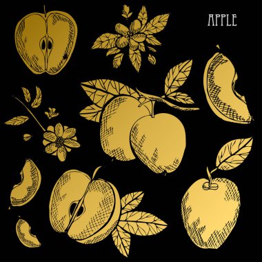 Çizilmiş altın elma, bütün el ve dilimlenmiş, tasarım öğeleri. Kullanılabilir kartları, davetiyeler, scrapbooking, baskı, kumaş, üretim, gıda Temalar için. Altın meyve