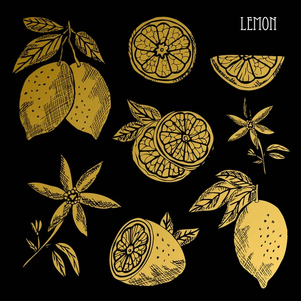 Hand Drawn Golden Lemons Whole Sliced Design Elements Can Used — Stock Vector
