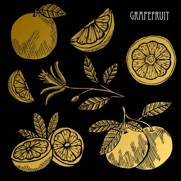 Hand Getekend Gouden Grapefruits Hele Gesneden Ontwerpelementen Kan Worden Gebruikt — Stockvector