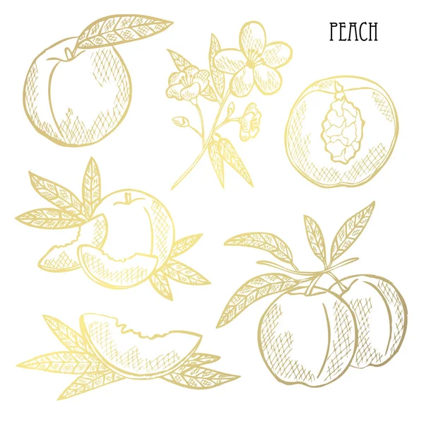 Hand Drawn Golden Peaches Whole Sliced Design Elements Can Used — Stock Vector