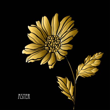 Dekoratif aster çiçek, tasarım öğesi. Tasarımını yazdırma, kartları, davetiyeleri, afişler, posterler için kullanılabilir. Altın çiçek