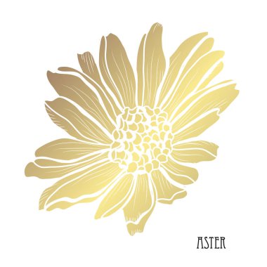Dekoratif aster çiçek, tasarım öğesi. Tasarımını yazdırma, kartları, davetiyeleri, afişler, posterler için kullanılabilir. Altın çiçek
