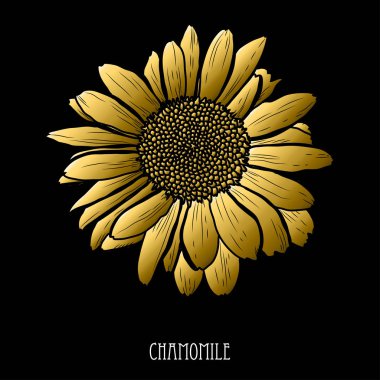 Dekoratif papatya çiçek, tasarım öğesi. Tasarımını yazdırma, kartları, davetiyeleri, afişler, posterler için kullanılabilir. Altın çiçek