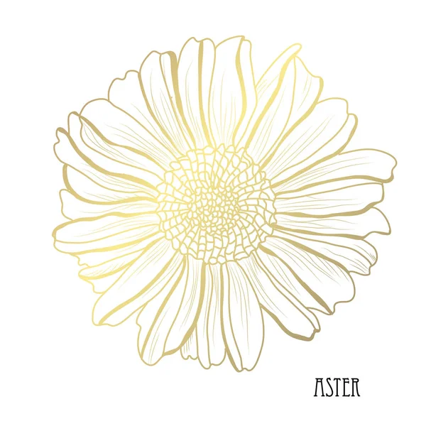 Fiore Decorativo Aster Elemento Design Può Essere Utilizzato Carte Inviti — Vettoriale Stock