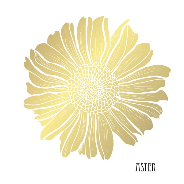Flor Decorativa Aster Elemento Diseño Puede Utilizar Para Tarjetas Invitaciones — Archivo Imágenes Vectoriales