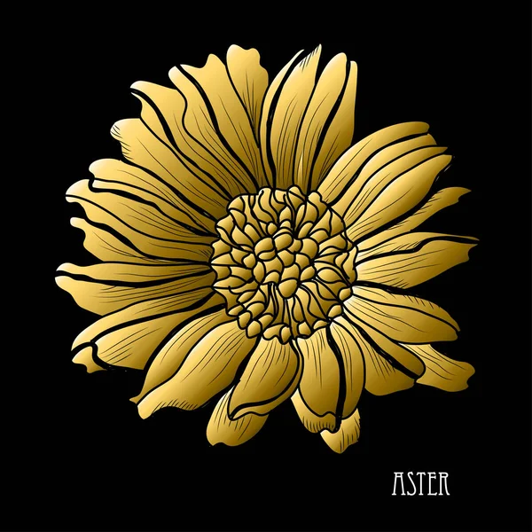 Flor Aster Decorativa Elemento Design Pode Ser Usado Para Cartões — Vetor de Stock