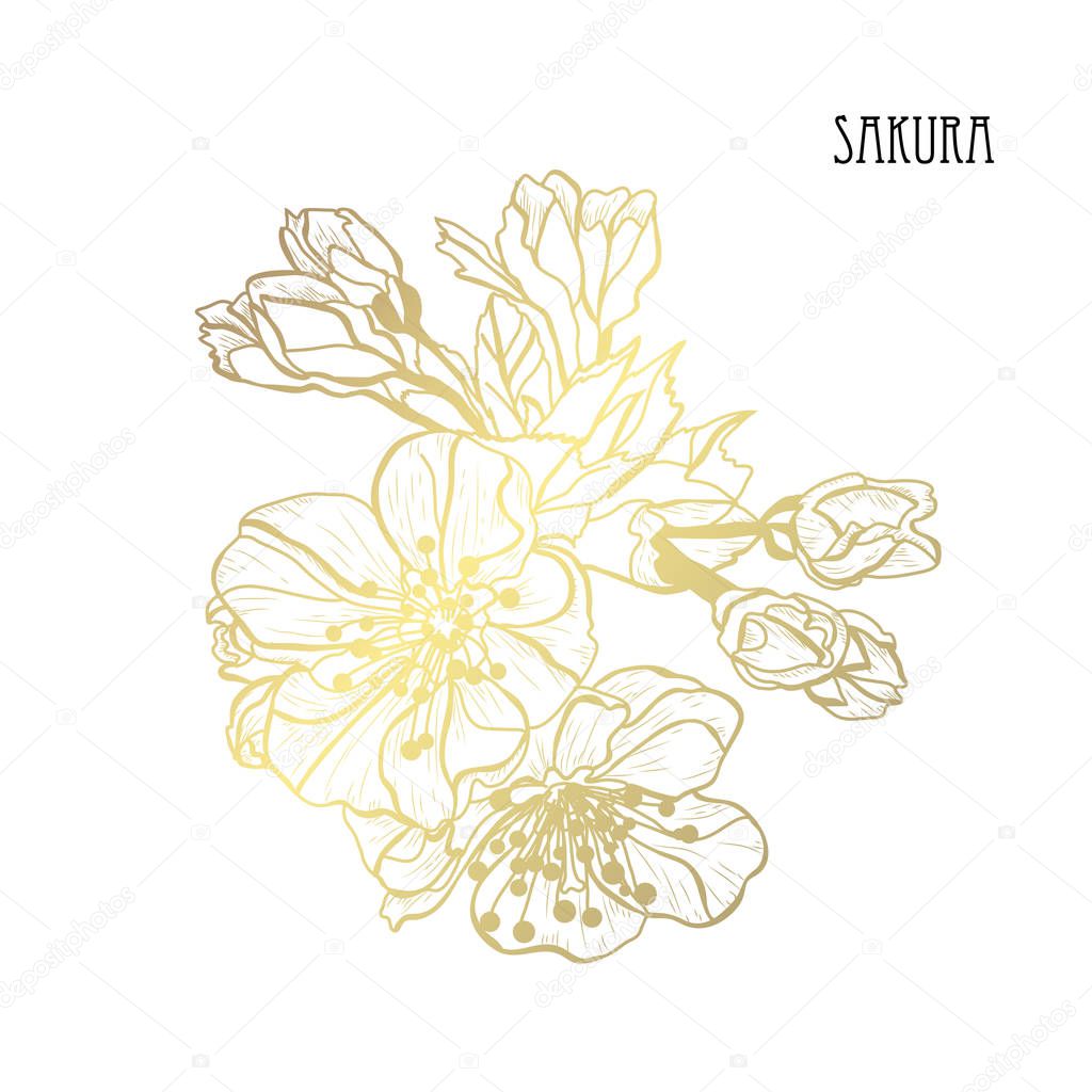 Decorative sakura flowers, design elements. Can be used for cards, invitations, banners, posters, print design. Golden flowers