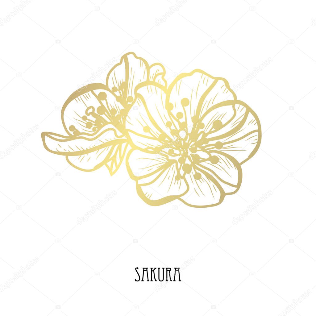 Decorative sakura flowers, design elements. Can be used for cards, invitations, banners, posters, print design. Golden flowers
