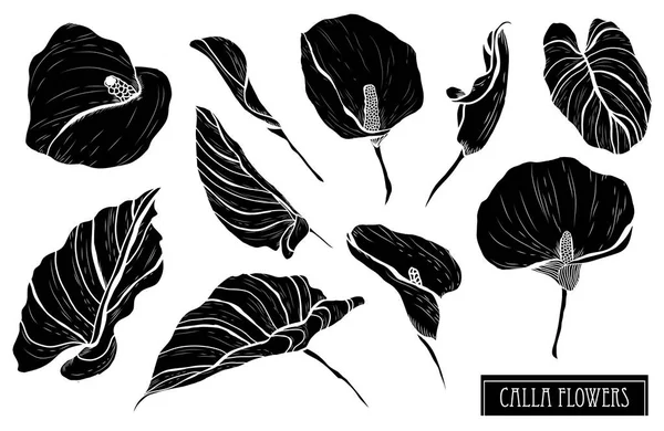 装饰的马蹄莲花集 设计元素 可用于贺卡 平面设计 线条艺术风格的花卉背景 — 图库矢量图片