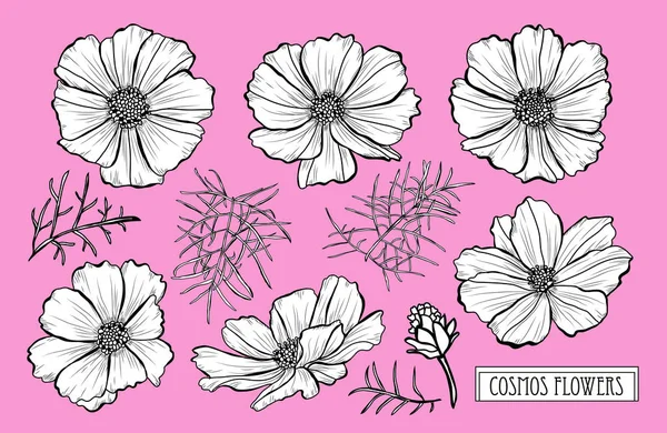 装饰宇宙花卉集 设计元素 可用于贺卡 平面设计 线条艺术风格的花卉背景 — 图库矢量图片