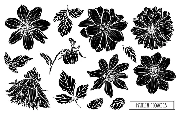 Dekoratív Dália Virág Design Elemeket Használható Kártyák Meghívókat Bannerek Poszterek — Stock Vector