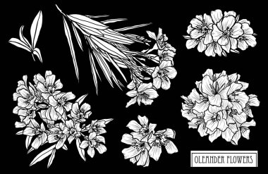 Dekoratif zakkum çiçekleri ayarla, tasarım öğeleri. Tasarımını yazdırma, kartları, davetiyeleri, afişler, posterler için kullanılabilir. Çiçek arka planda satır sanat tarzı