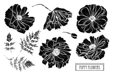 Dekoratif haşhaş çiçekler ayarla, tasarım öğeleri. Tasarımını yazdırma, kartları, davetiyeleri, afişler, posterler için kullanılabilir. Çiçek arka planda satır sanat tarzı