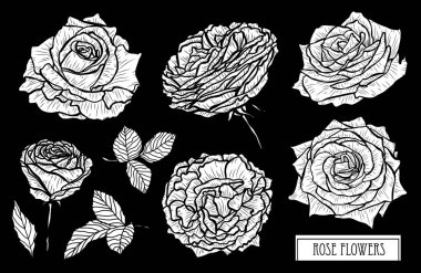 Dekoratif gül çiçek ayarla, tasarım öğeleri. Tasarımını yazdırma, kartları, davetiyeleri, afişler, posterler için kullanılabilir. Çiçek arka planda satır sanat tarzı