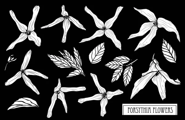 装饰连翘花套 设计元素 可用于卡片 打印设计 花卉背景的线条艺术风格 — 图库矢量图片