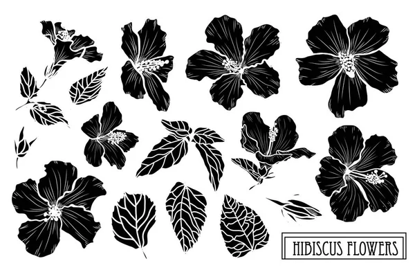 装饰芙蓉花集 设计元素 可用于卡片 打印设计 花卉背景的线条艺术风格 — 图库矢量图片