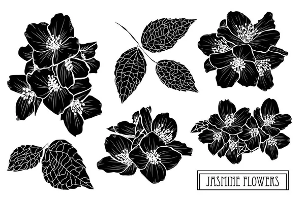 装飾的なジャスミンの花セット デザイン要素 カード 招待状 バナー ポスター 印刷デザインに使用できます ラインアートスタイルの花の背景 — ストックベクタ