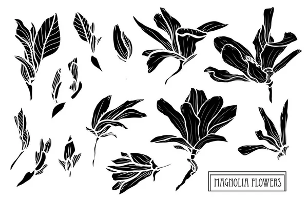 Set Decorativo Flores Magnolia Elementos Diseño Puede Utilizar Para Tarjetas — Archivo Imágenes Vectoriales